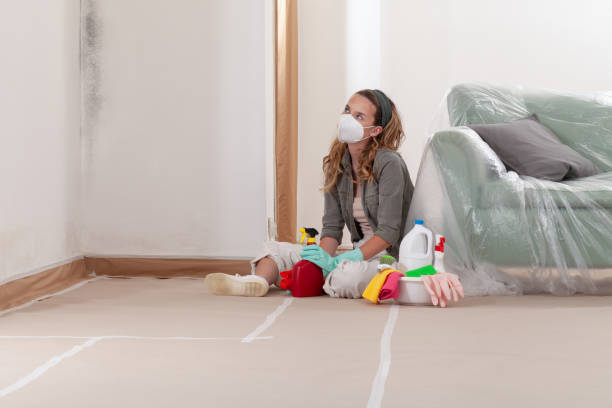 Reliable Mold Inspection contractor in Haskell, TX by WQB Mold Removal
